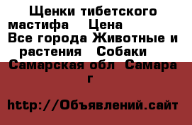Щенки тибетского мастифа. › Цена ­ 30 000 - Все города Животные и растения » Собаки   . Самарская обл.,Самара г.
